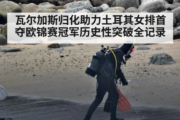 瓦尔加斯归化助力土耳其女排首夺欧锦赛冠军历史性突破全记录