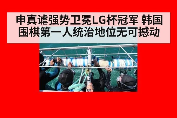 申真谑强势卫冕LG杯冠军 韩国围棋第一人统治地位无可撼动